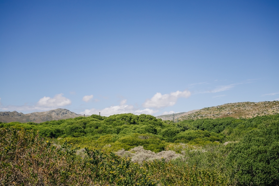 4 Bedroom Property for Sale in Kommetjie Western Cape